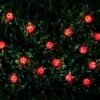 B&M 30 Insect Solar String Lights - Ladybird -Outdoor Garden Store 265270 20 Nature String Solar Lights Ladybird1