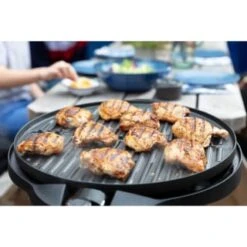 George Foreman Indoor-Outdoor BBQ Grill -Outdoor Garden Store 268846 george foreman bbq grill 4