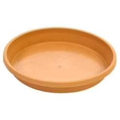 B&M Ascot Saucer Terra - Small