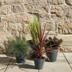 B&M Soho Pot Planter - Charcoal 28cm 10 B&M Soho Pot Planter - Charcoal 28cm -Outdoor Garden Store 378389 385058 381595 soho planter charcoal 38cm 28cm 17cm