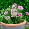B&M Carved Wood Effect Garden Plant Pot Stick - Hedgehog 2 B&M Carved Wood Effect Garden Plant Pot Stick - Hedgehog -Outdoor Garden Store 379521 wood animal pot sticks hedgehog