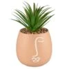 B&M Face Planter 2 B&M Face Planter -Outdoor Garden Store 380602 face planter