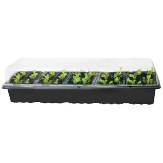 B&M 5-Tray Windowsill Greenhouse Set 4 B&M 5-Tray Windowsill Greenhouse Set - Image 2