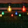 Eveready Mains Powered LED Bulb String Lights 20pk - Multicolour 2 Eveready Mains Powered LED Bulb String Lights 20pk - Multicolour -Outdoor Garden Store 392913 eveready 20 mains operated multi colour bulb string lights 2