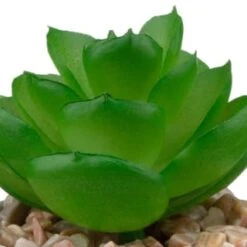 B&M Assorted Small Concrete Succulents -Outdoor Garden Store 394713 small concrete succulent 6
