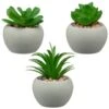 B&M Assorted Small Concrete Succulents -Outdoor Garden Store 394713 small concrete succulent group